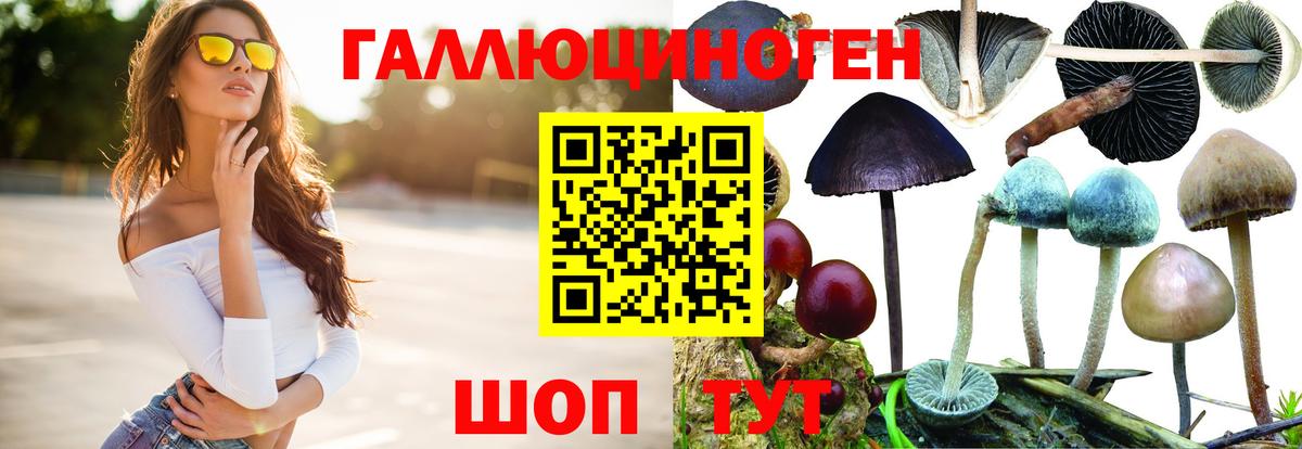 Псилоцибиновые грибы мицелий Изобильный